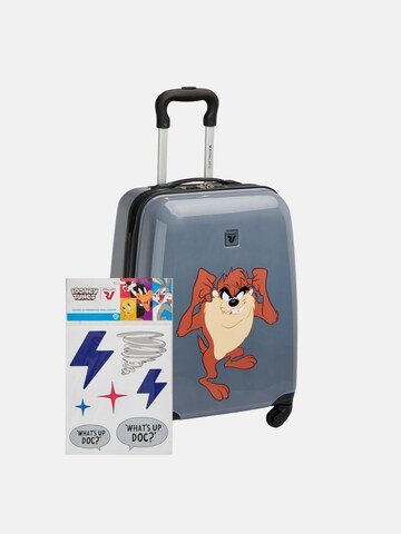 Roncato Trolley in Grijs