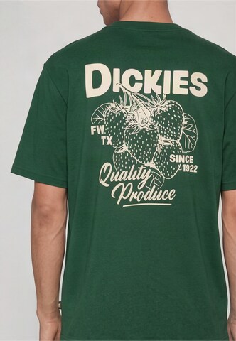 Maglietta 'Berryfield' di DICKIES in verde