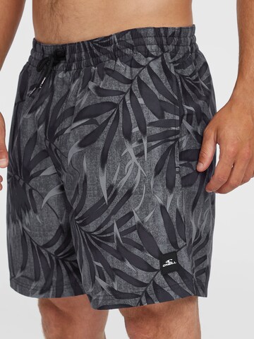Pantaloncini da bagno 'Cali' di O'NEILL in grigio