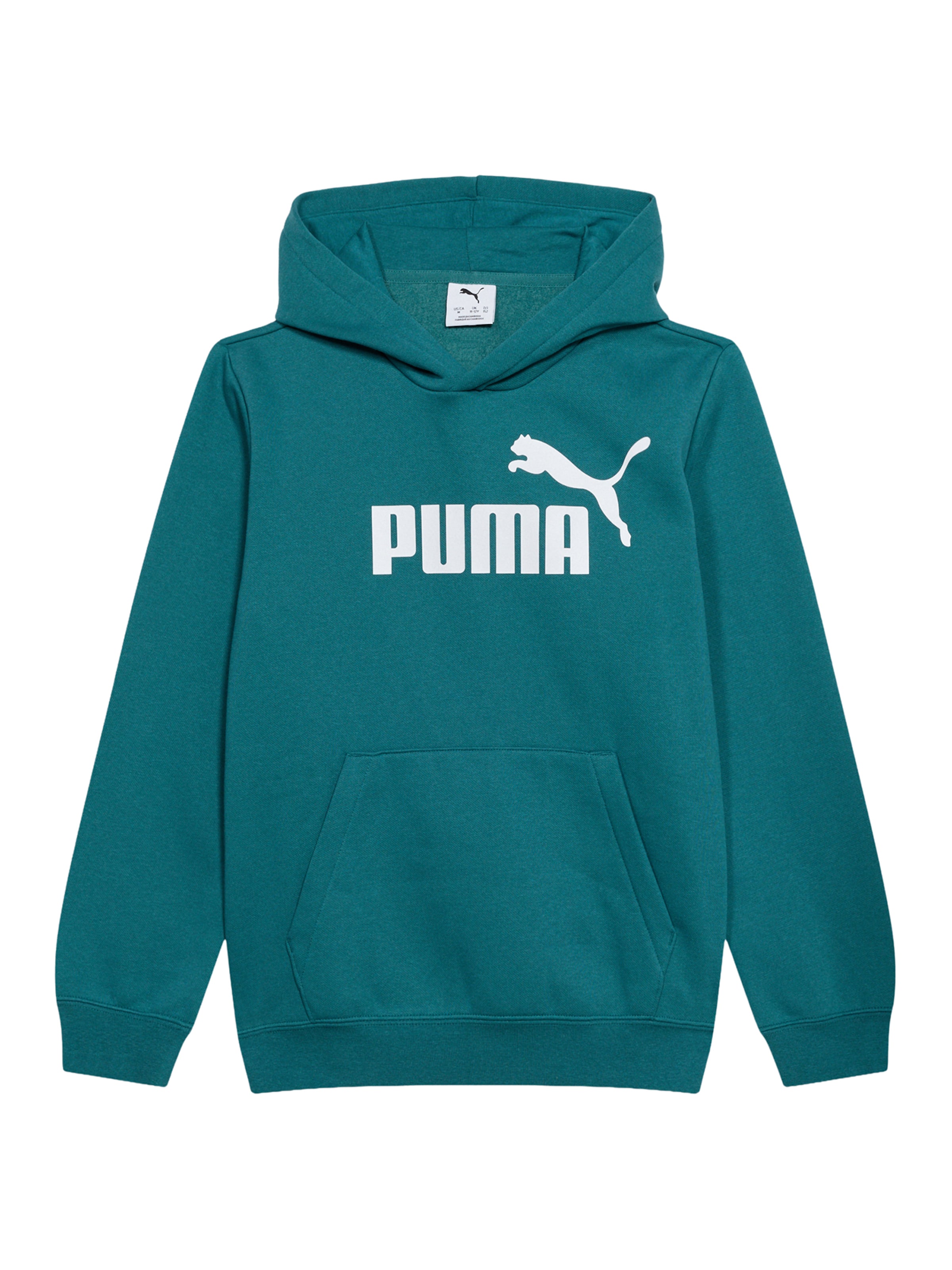 PUMA Bluza 'ESS No. 1' w kolorze zielony: przód