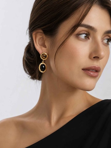 RteRmeNaušnice 'Spectral Tiger Eye & Obsidian Drop Earrings' - zlatna boja