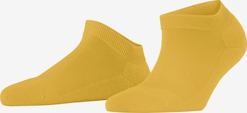 FALKE Füßlinge 'ClimaWool' in Gelb: Vorderseite