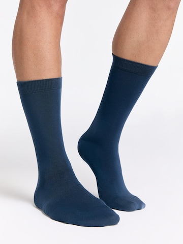 Albero Natur Socks 'Classic' in Blue