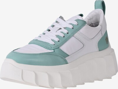 Apple of Eden Sneaker 'BLAIR' in grün / mint / weiß, Produktansicht