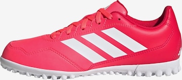 Chaussure de sport 'Youngstar Rise' ADIDAS PERFORMANCE en rose : devant