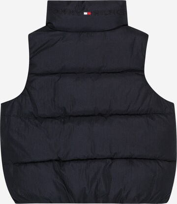 Gilet di TOMMY HILFIGER in blu