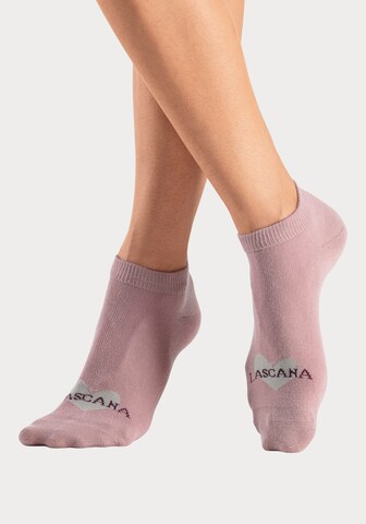 LASCANA Socks in White: front