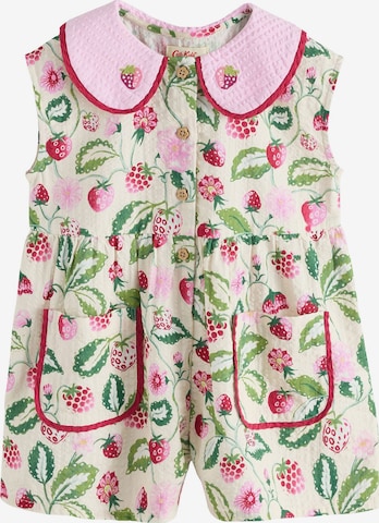 Next Overall värissä vihreä: etupuoli