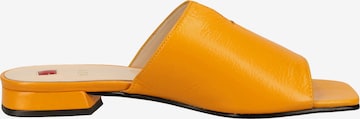 Högl Mules in Orange
