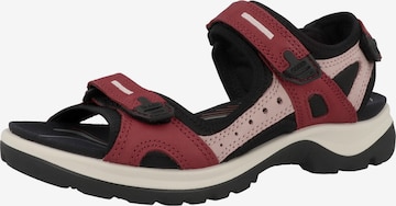 ECCO Hiking Sandals 'Offroad' in Red: front