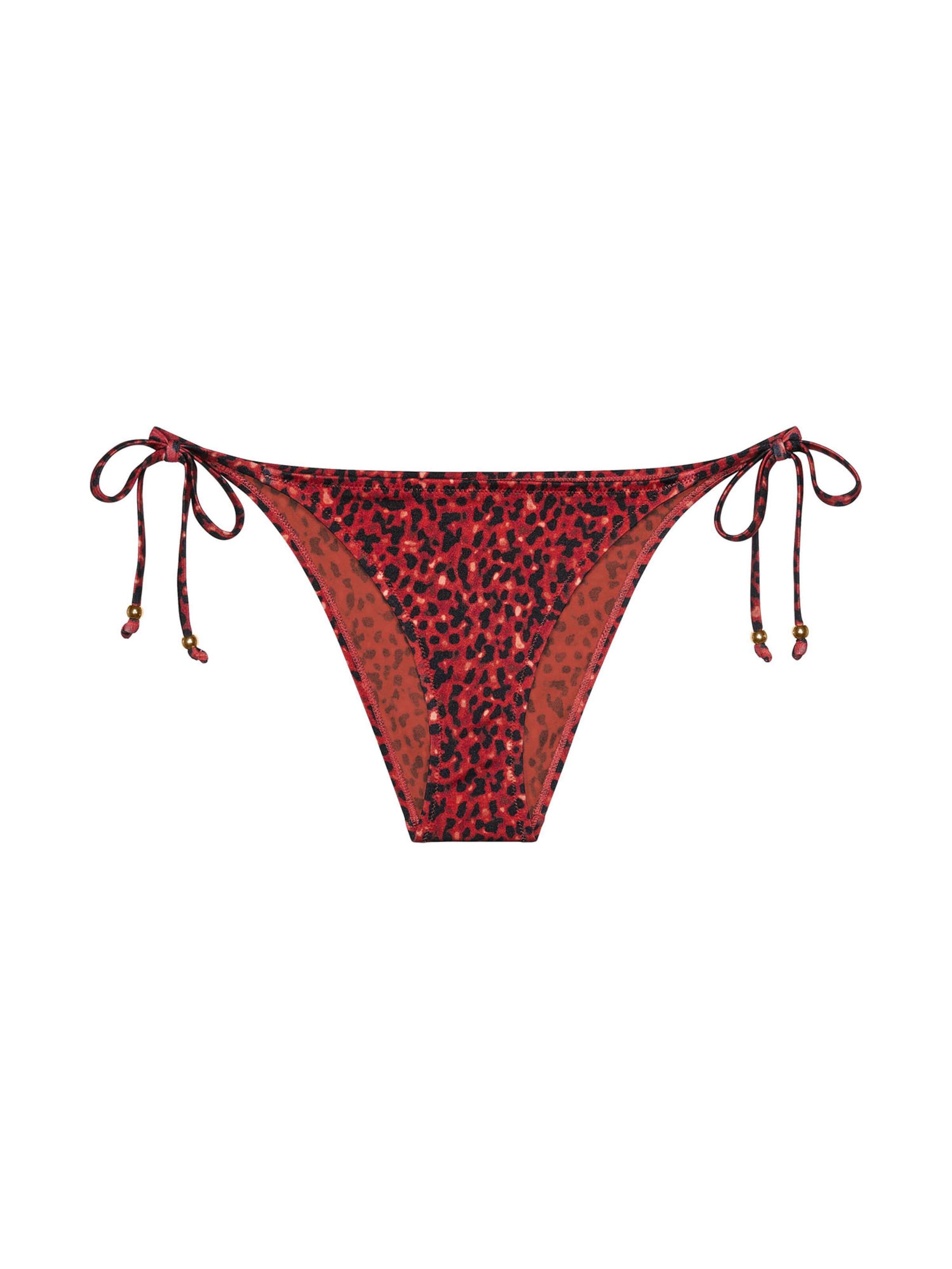 TRIUMPH Bikini bottom ' Red Label Midnight Swim ' in Brown: front