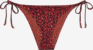 TRIUMPH Bikini bottom ' Red Label Midnight Swim ' in Brown: front