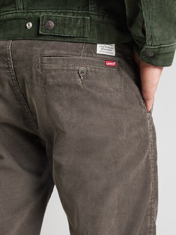 LEVI'S ® Regular Chino ' XX Chino Standard' in Bruin