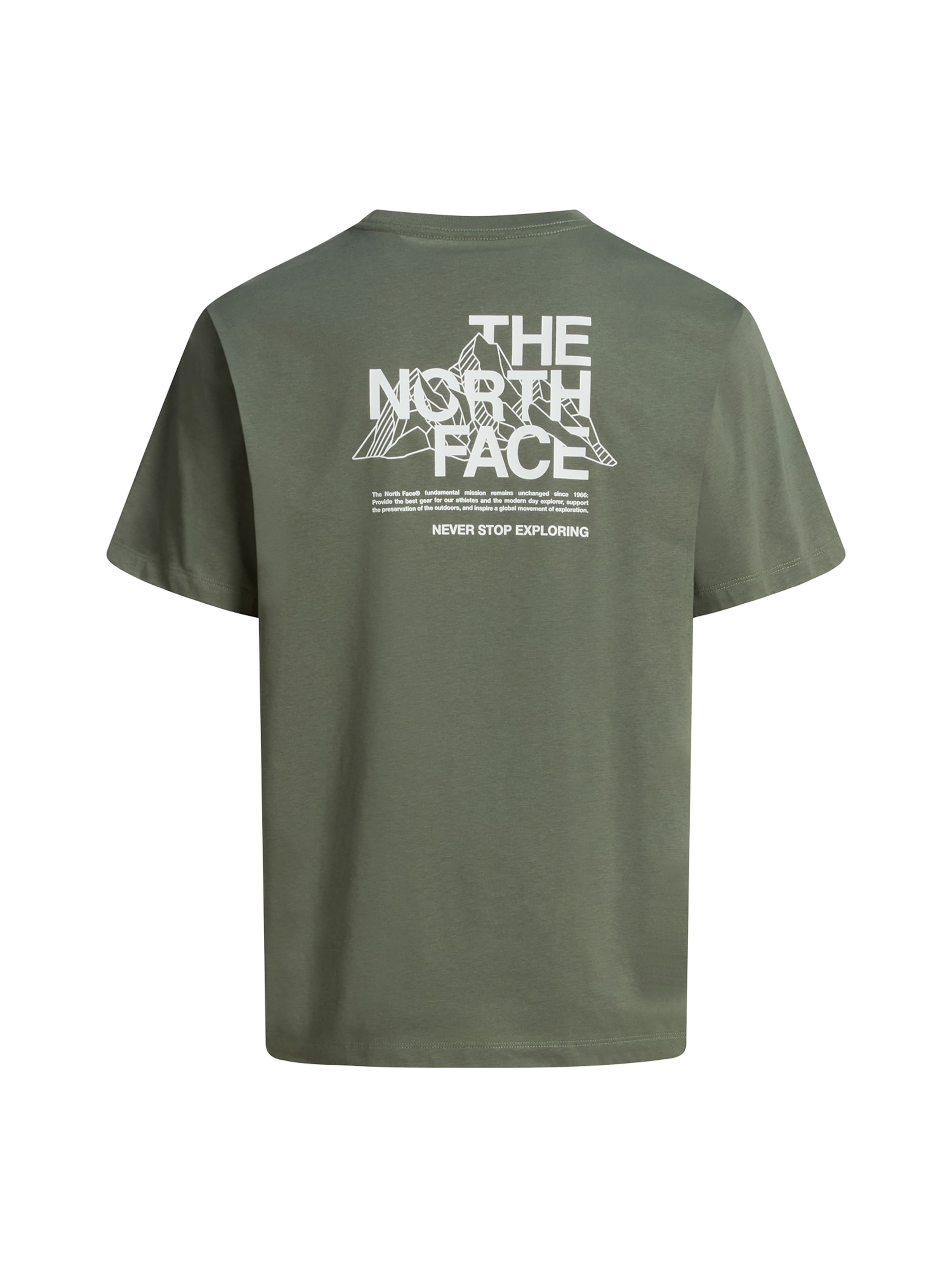 THE NORTH FACE Koszulka 'Mountain Sketch' w kolorze zielony