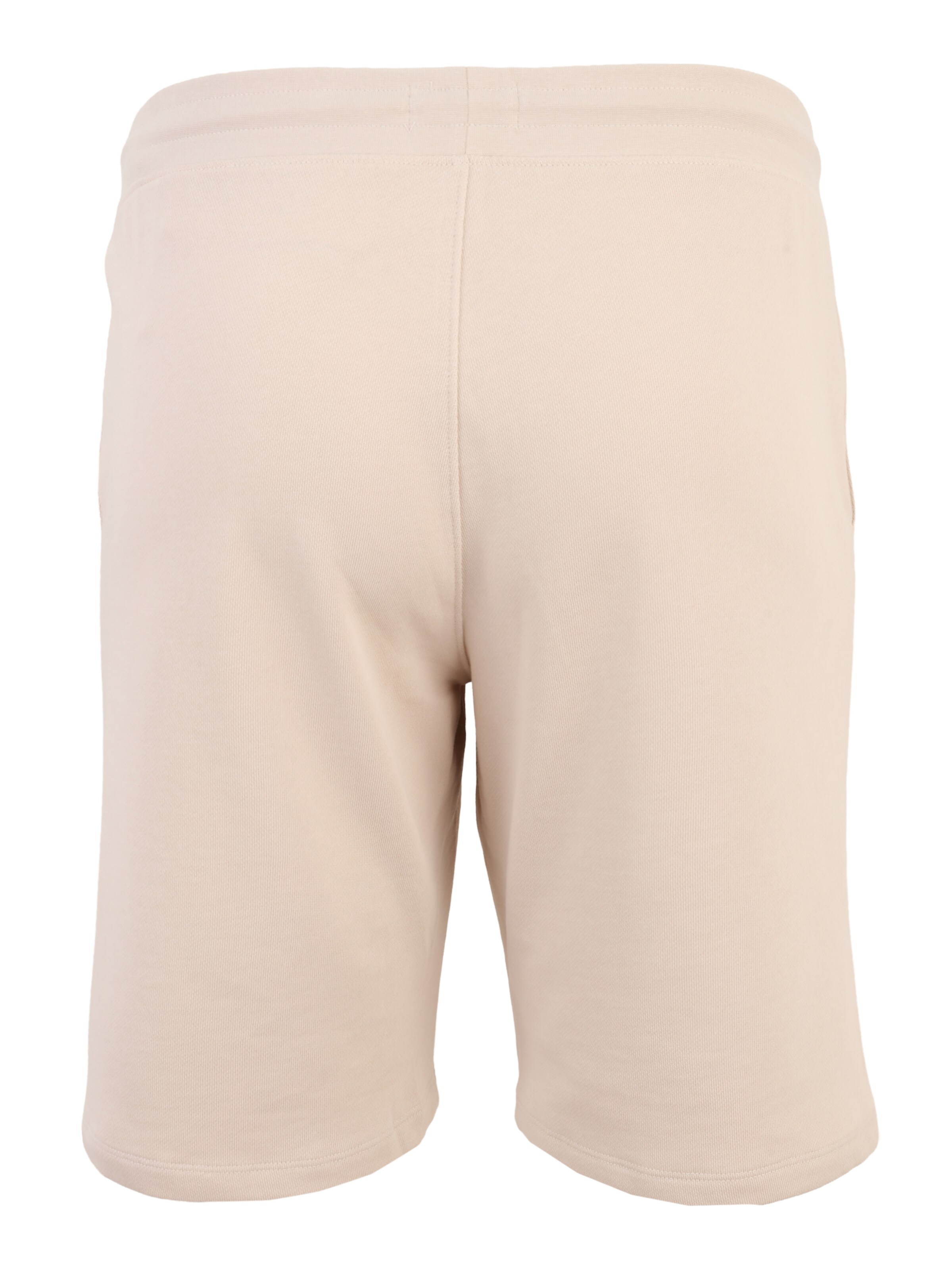 Jack & Jones Plus - regular Pantalón 'JPSTGORDON' en beige