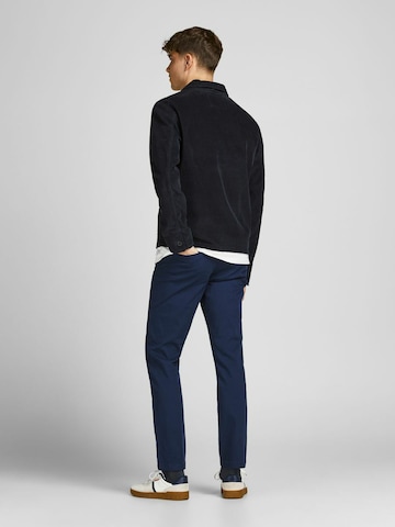 Regular Pantalon chino 'Ollie' JACK & JONES en bleu