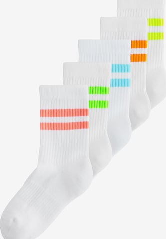 mėlyna Next Kojinės: priekis