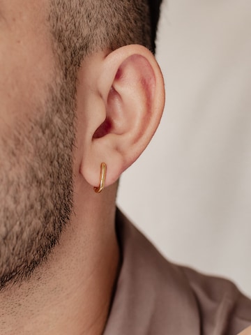 Hey Happiness Earring 'Oval Hoop' in Gold: front