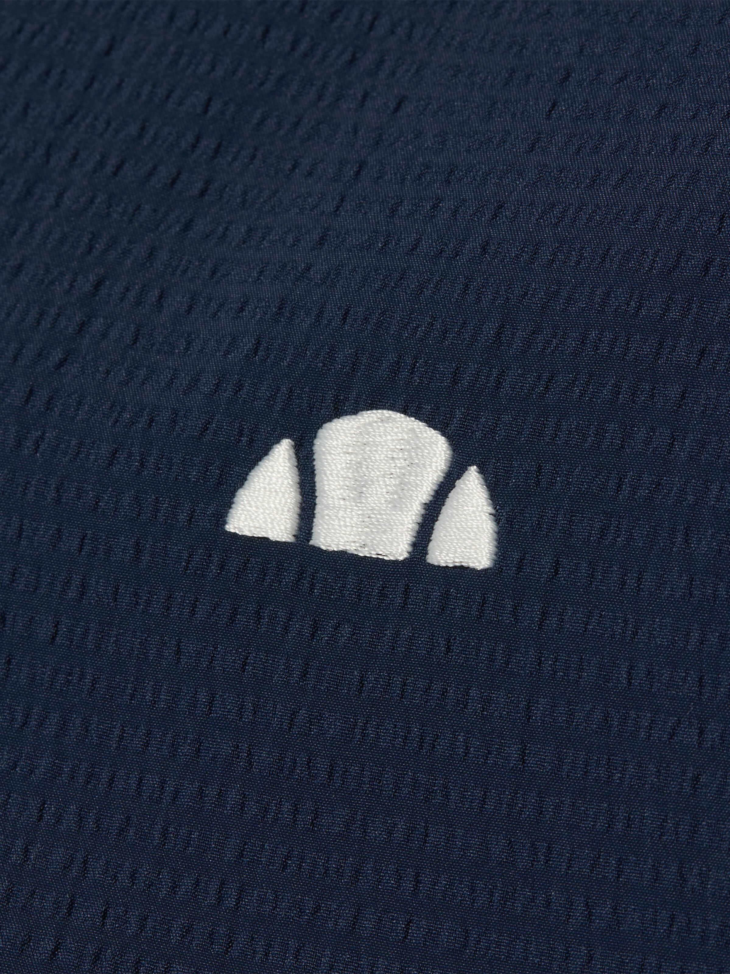 ELLESSE Regular fit Button Up Shirt 'Pasiano' in Blue
