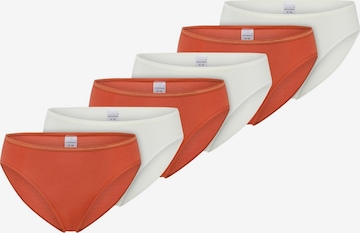 SCHIESSER Panty 'Modal Essentials' in White: front