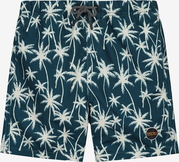 Shorts de bain Shiwi en bleu : devant