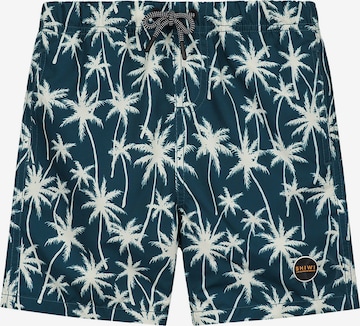 Shiwi Board Shorts in Blue: front