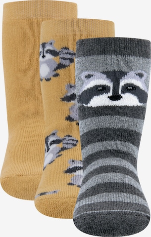 smėlio EWERS Kojinės: priekis