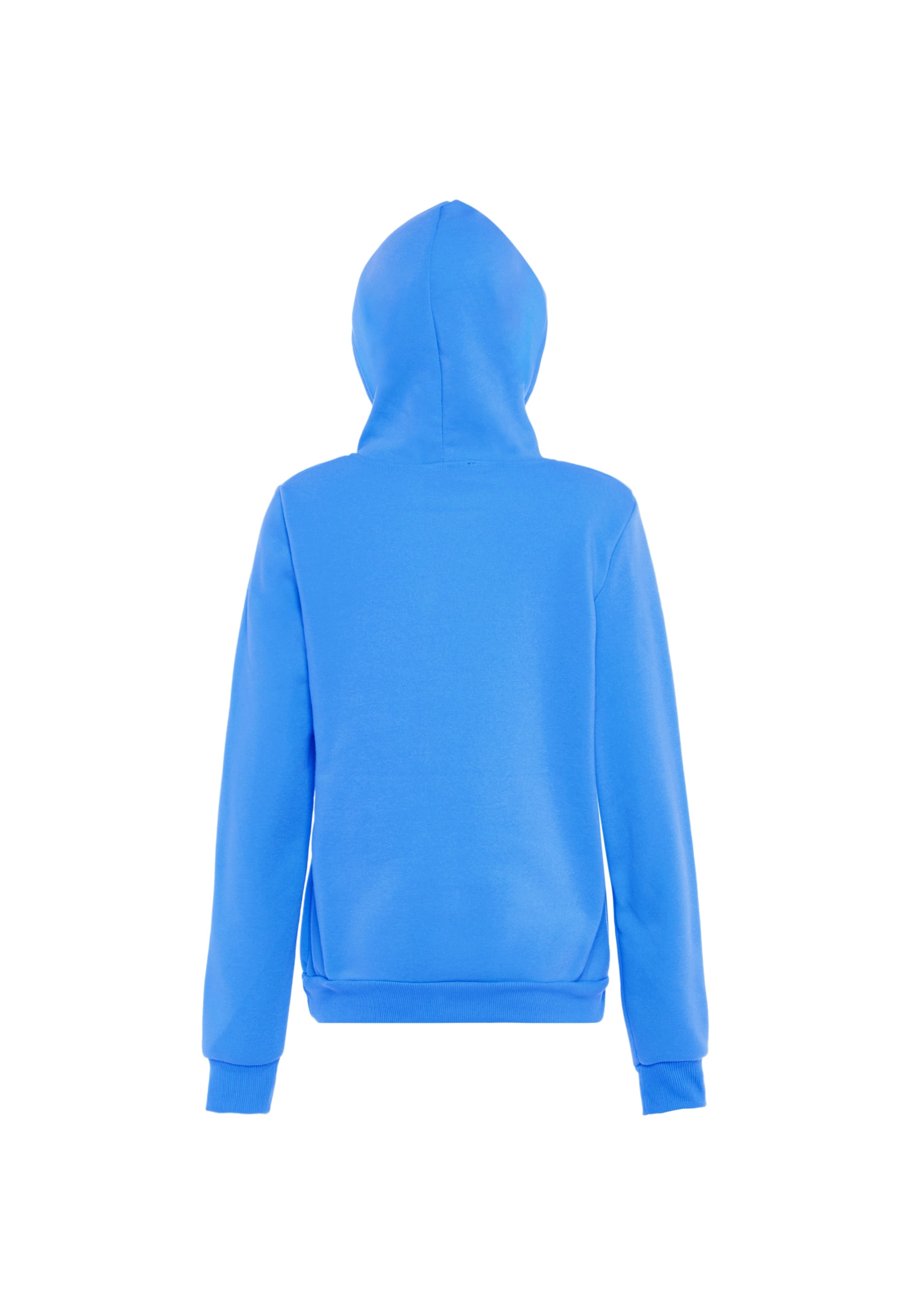 Exide Sweatshirt in Blue