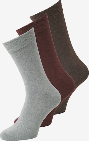 Calzino 'JACORDINARY' di JACK & JONES in marrone: frontale