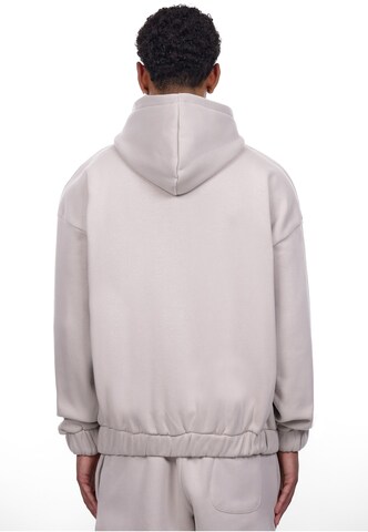 Dropsize Sweatjacke in Grau