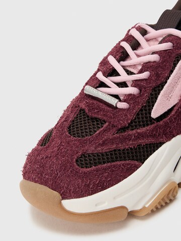 STEVE MADDEN Nízke tenisky 'POSSESSION' - Fialová