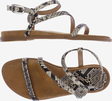 UNISA Sandals & High-Heeled Sandals in 36 in Beige: front