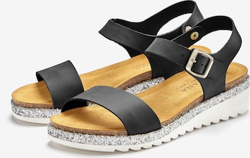 LASCANA Sandals in Black