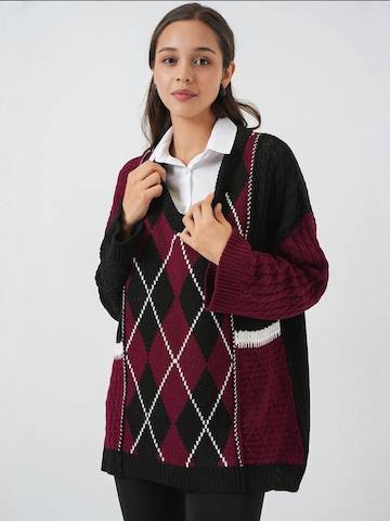 Bigdart Pullover in Rot