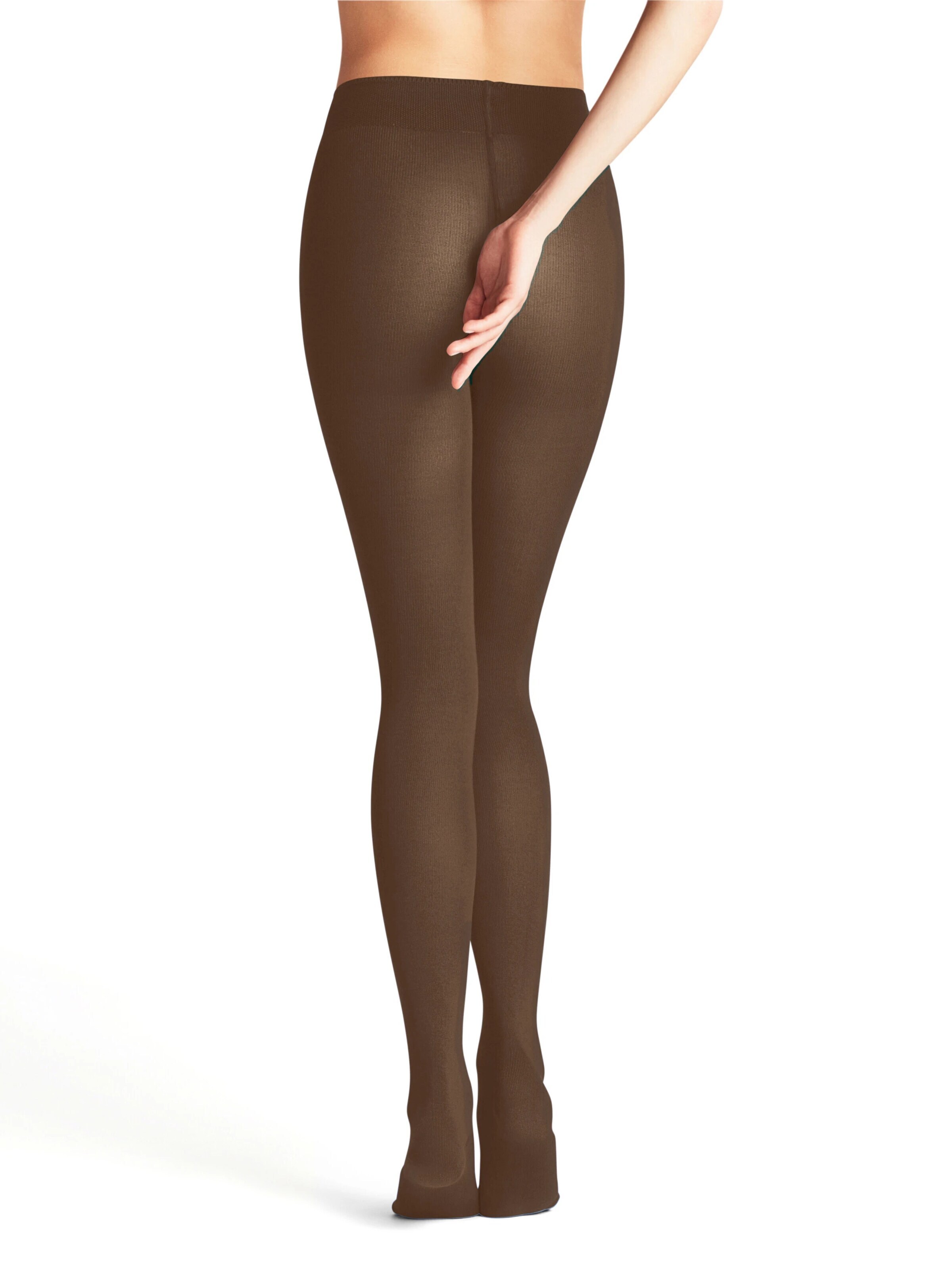 FALKE Tights 'Family' in Brown