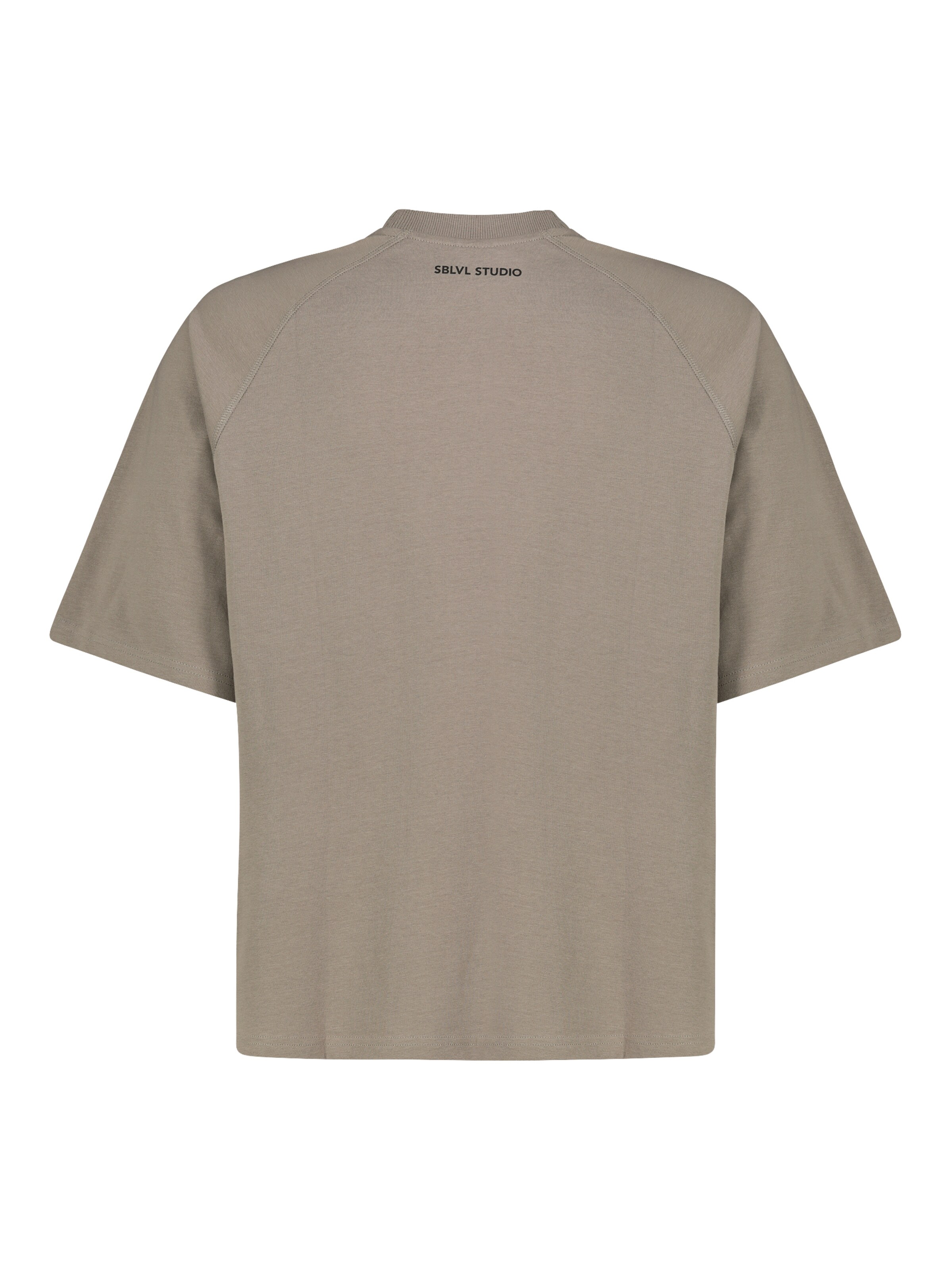 Sublevel T-Shirt in Braun