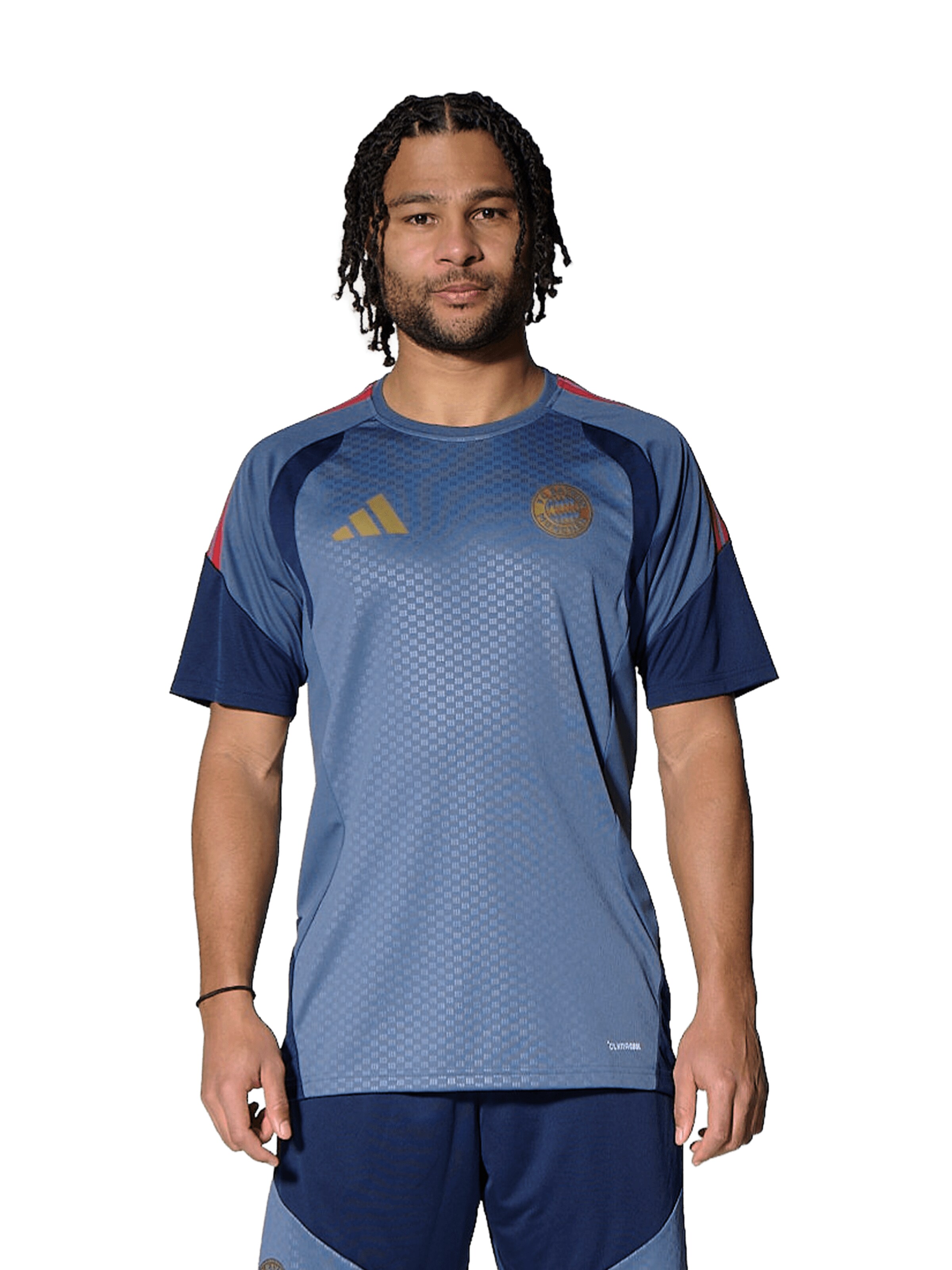ADIDAS PERFORMANCE Shirt in Blue: front