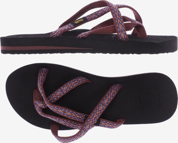 TEVA Sandalen 37 in Rot: predná strana