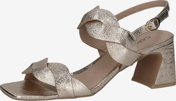 CAPRICE Sandalen met riem in Goud: voorkant