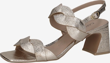 CAPRICE Strap Sandals in Gold: front