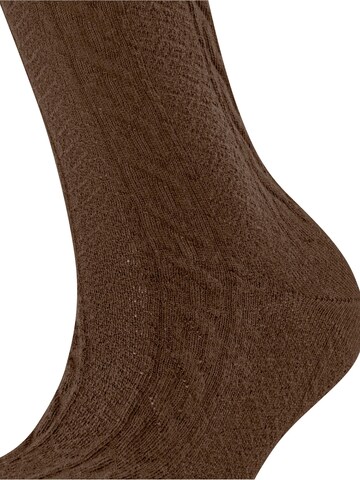 FALKE Socks 'Declivity' in Brown