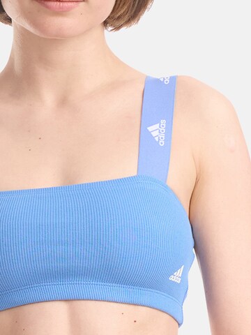 ADIDAS ORIGINALS Bralette Bra ' Bandeau ' in Blue