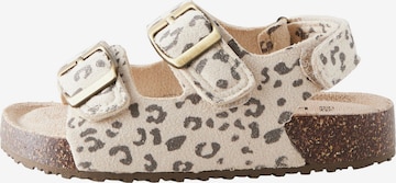 Next Sandaalit värissä beige: etupuoli