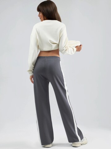 Wide leg Pantaloni di Hiccup in grigio
