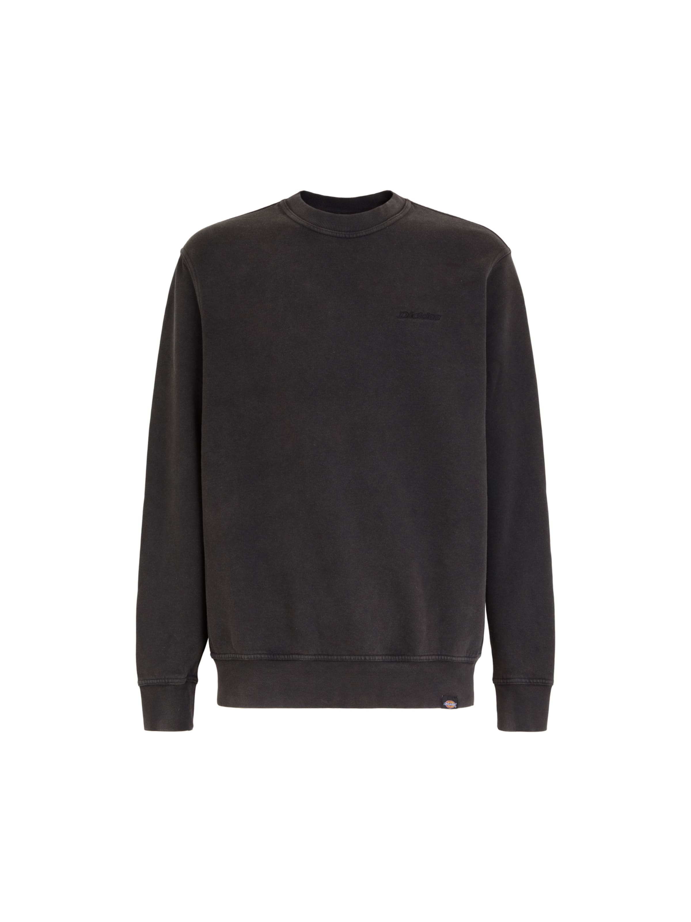 Sweat-shirt 'Plentywood' DICKIES en noir : devant