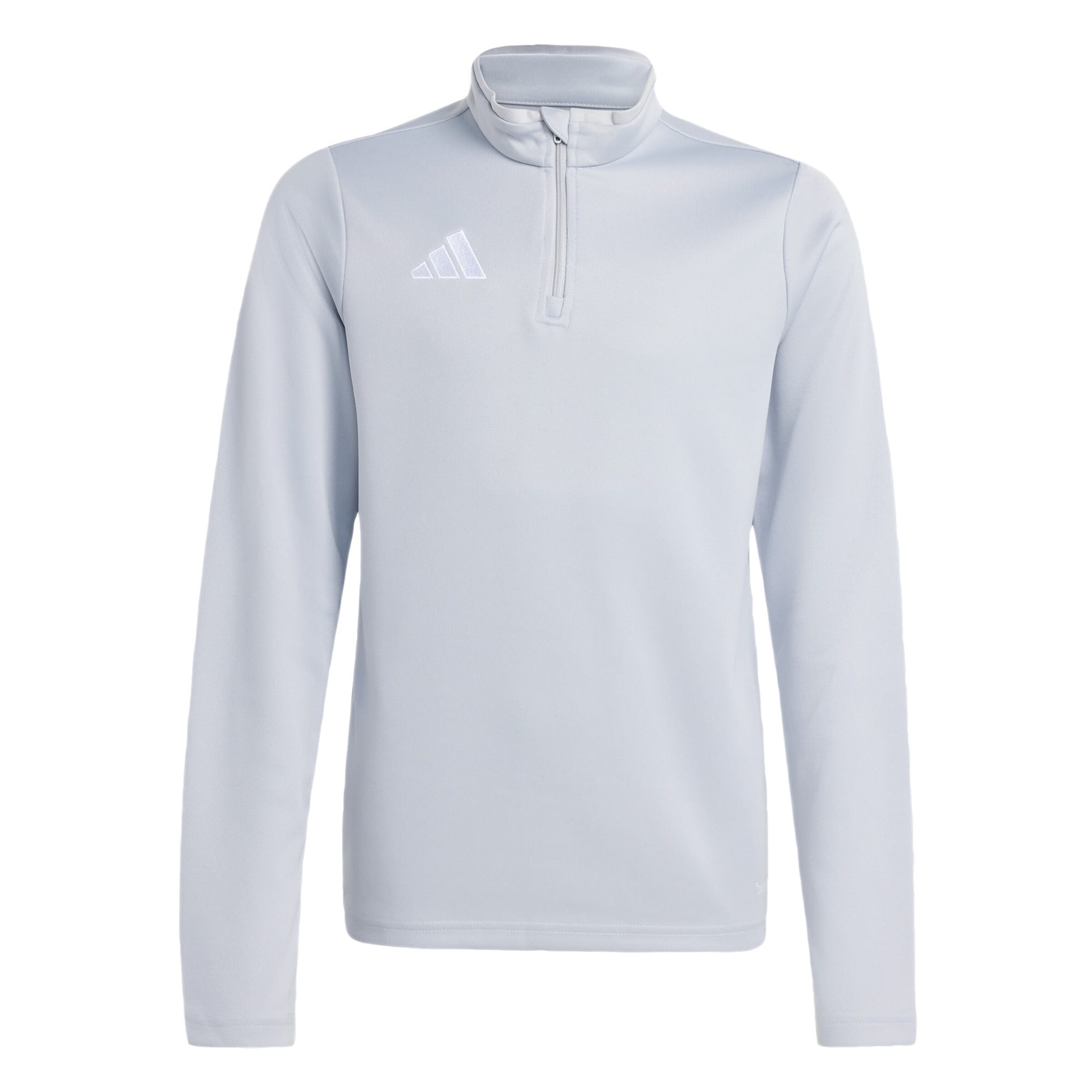 T-Shirt fonctionnel 'Entrada 26' ADIDAS PERFORMANCE en gris : devant