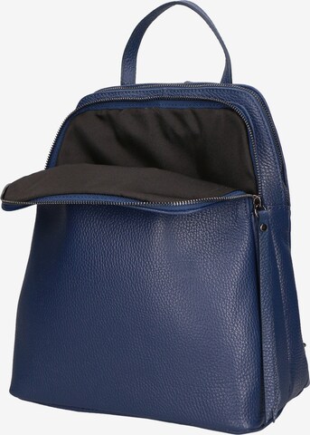 Gave Lux Backpack in Blue