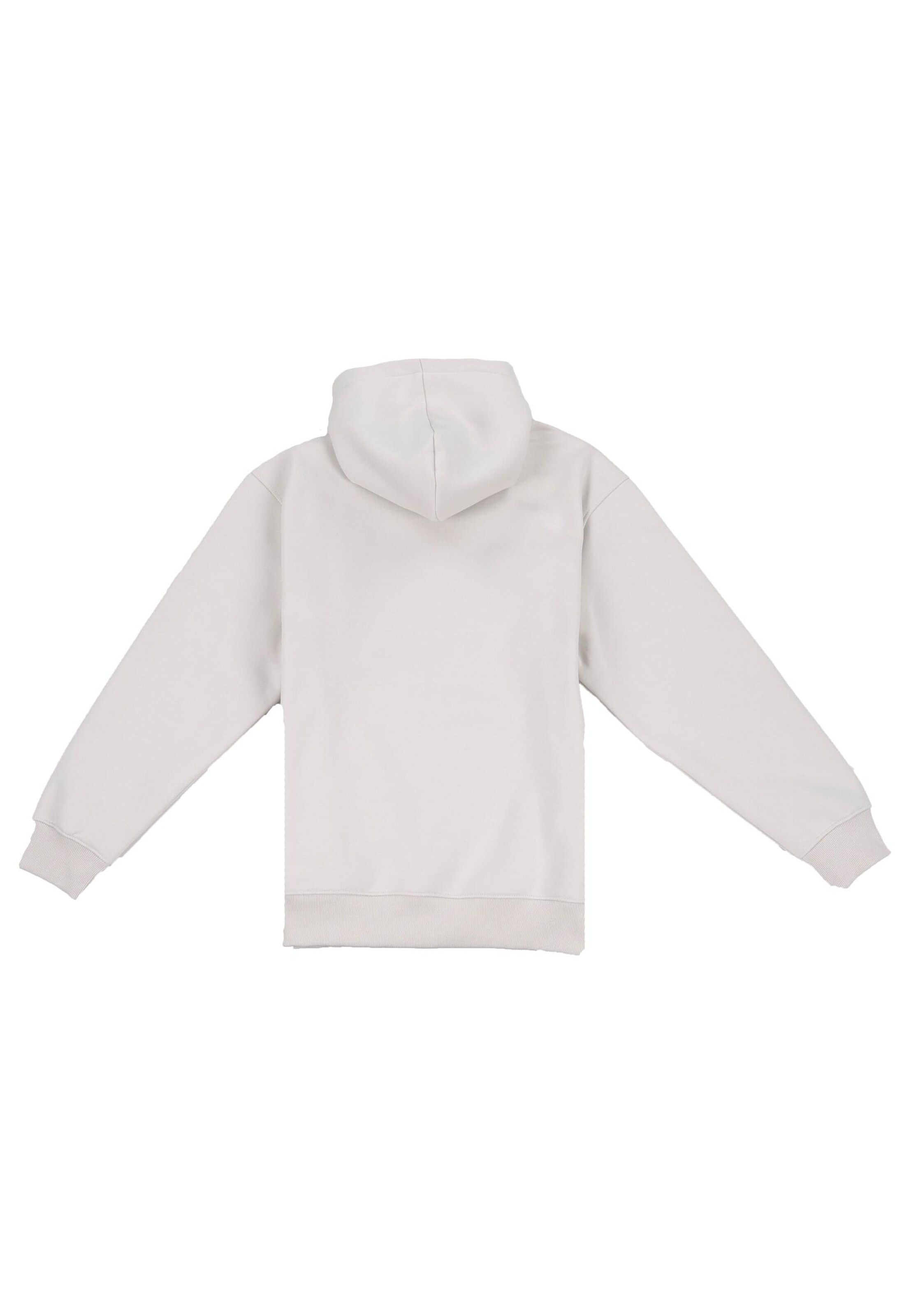 Dropsize Mikina – šedá