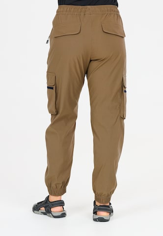 Whistler Regular Sportbroek 'Portus' in Bruin