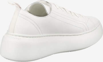 Baskets basses ARMANI EXCHANGE en blanc